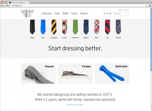 Пример - SkinnyTies.com. Дизайн сайта