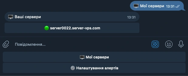 Результат успешного подключения сервера к боту.