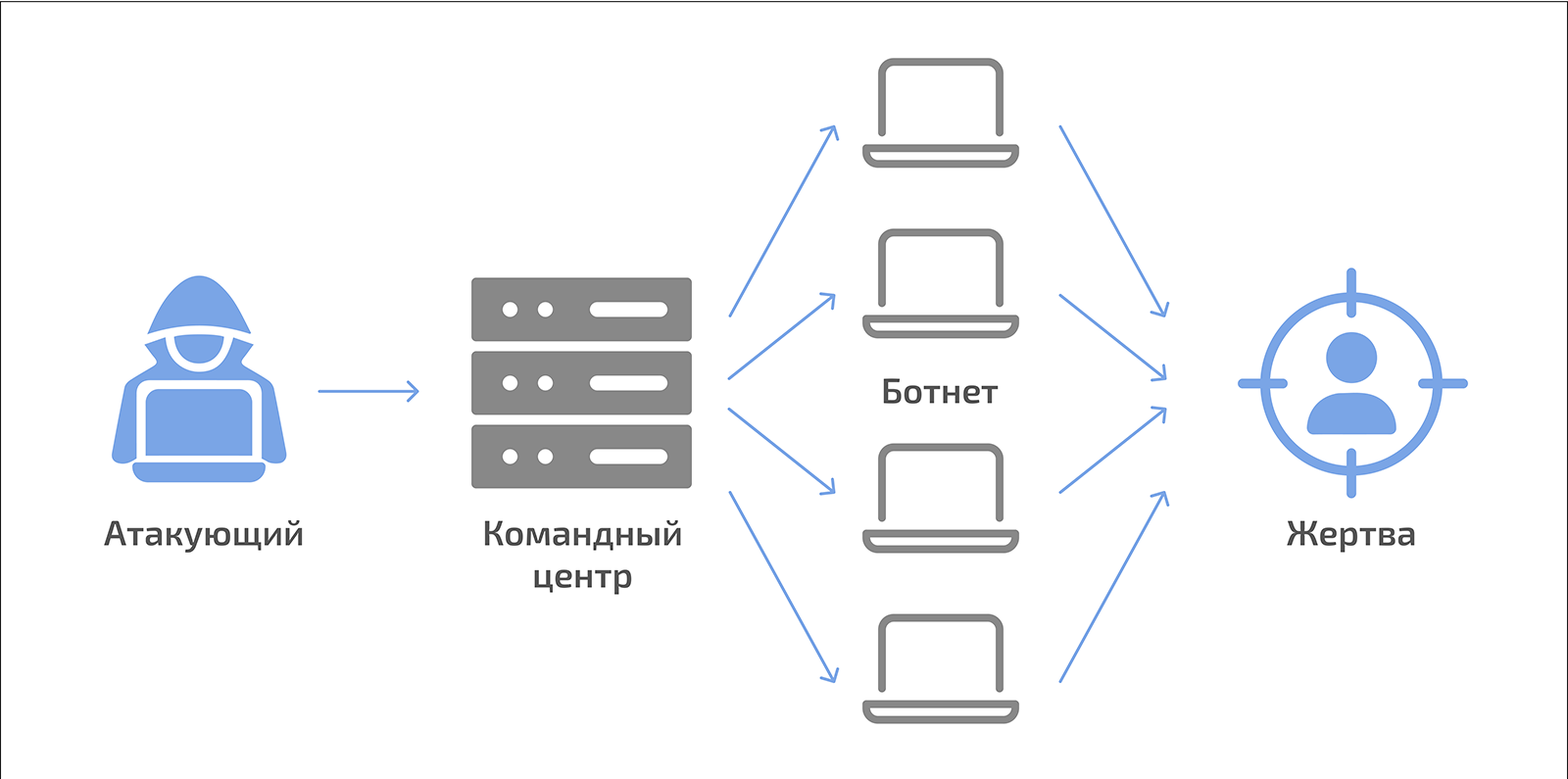      XSS   - -              -      