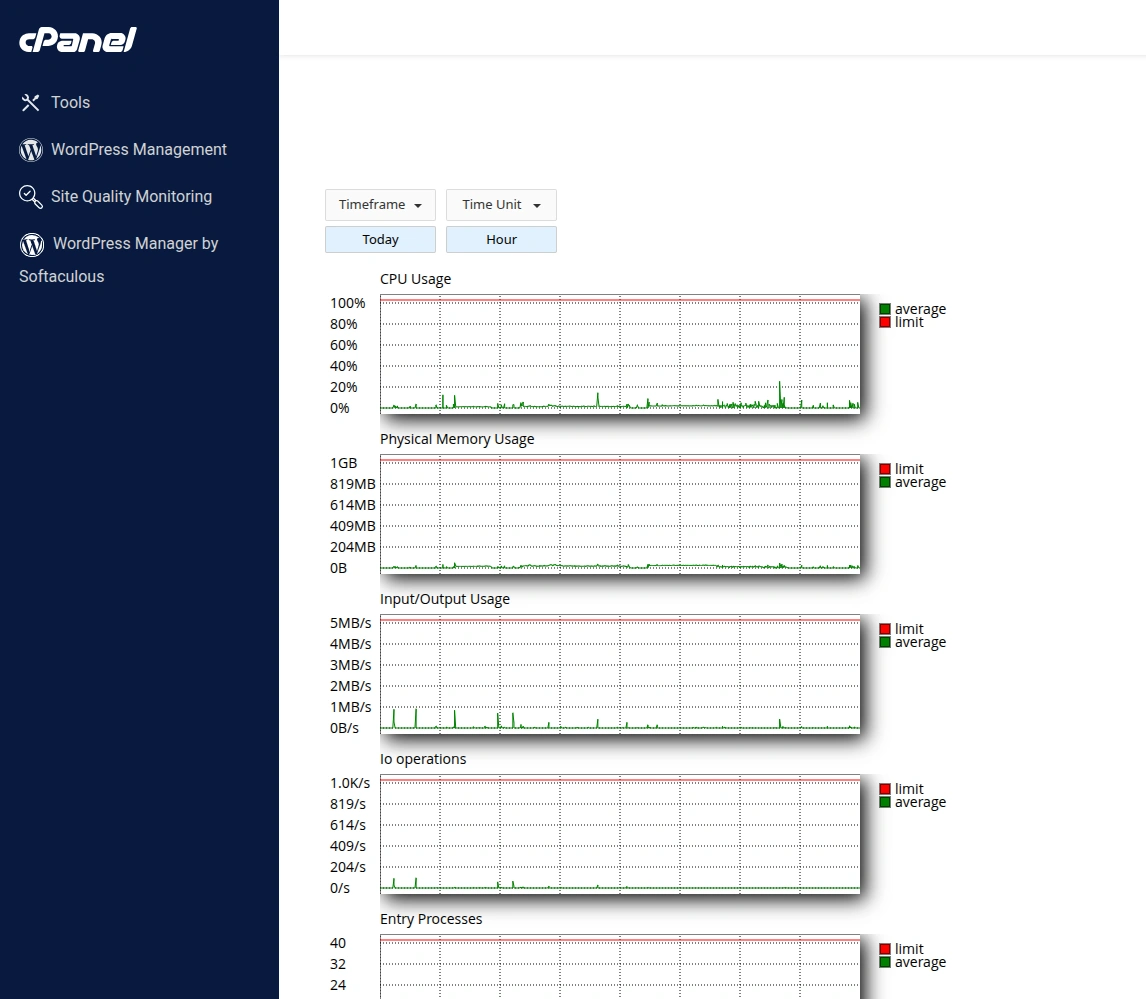 Графики использованных ресурсов хостинга в панели управления cPanel.