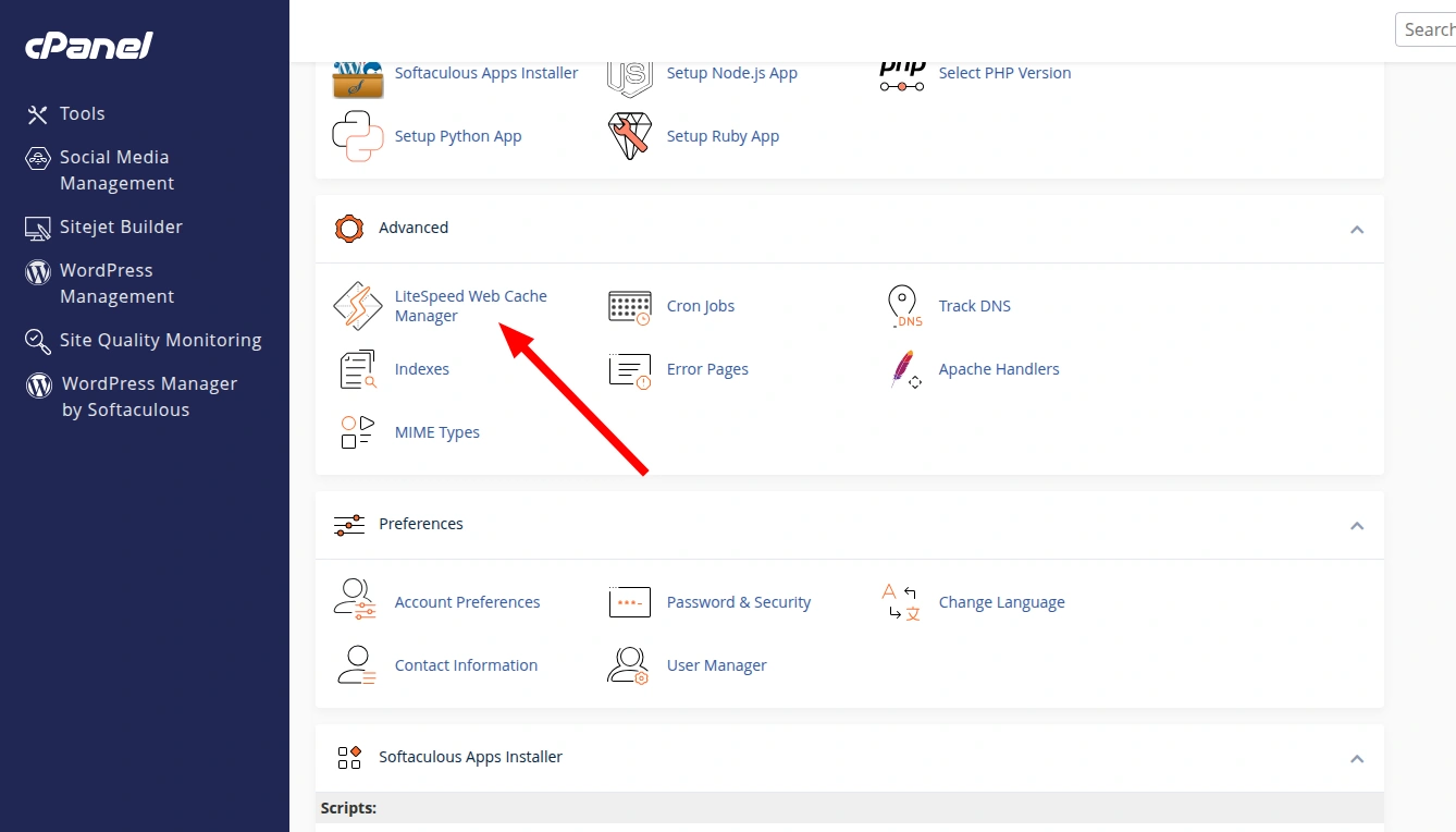 Очистка кэша веб-сервера LiteSpeed через панель управления хостингом.