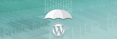 Защита WordPress от брутфорс атаки [11 способов]