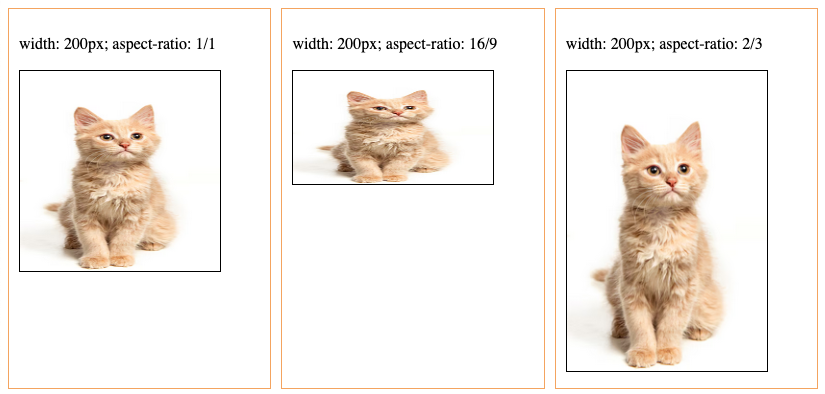 С помощью aspect-ratio указываем соотношение сторон, что помогает браузеру резервировать правильную область под изображение до его фактической загрузки. Для этого обязательно указываем ширину или высоту | HostPro Wiki