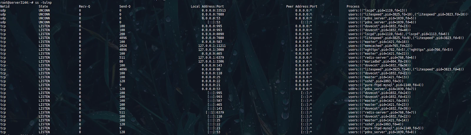 Как проверить открытые порты на сервере | Wiki HostPro