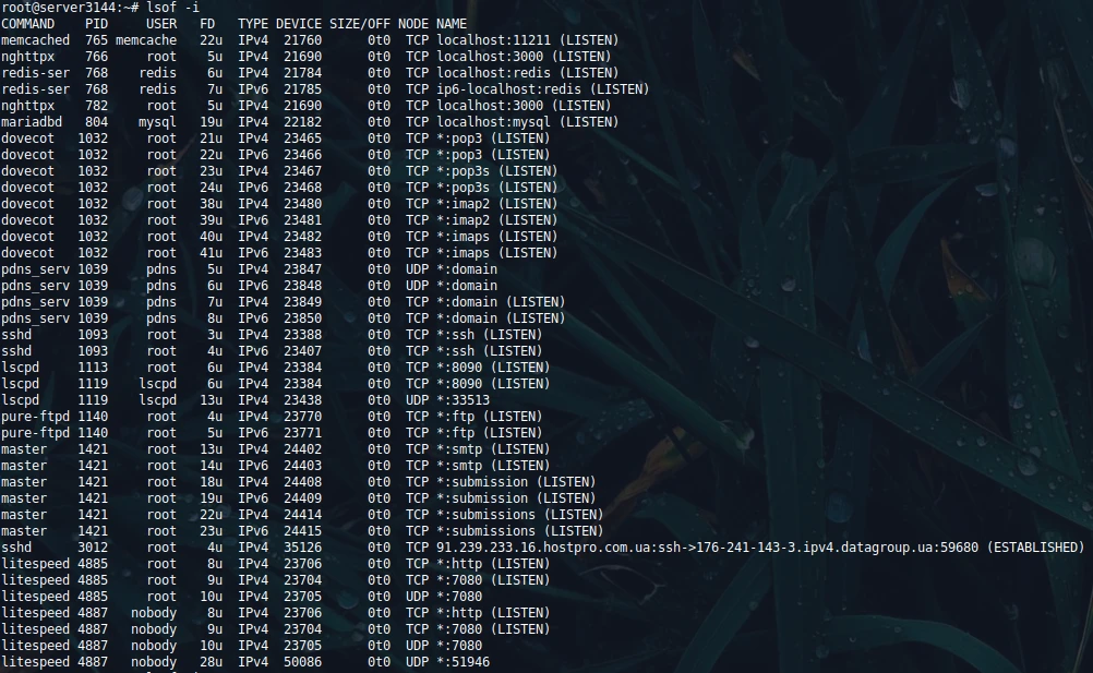 Які порти найчастіше потрапляють під атаку | Wiki HostPro