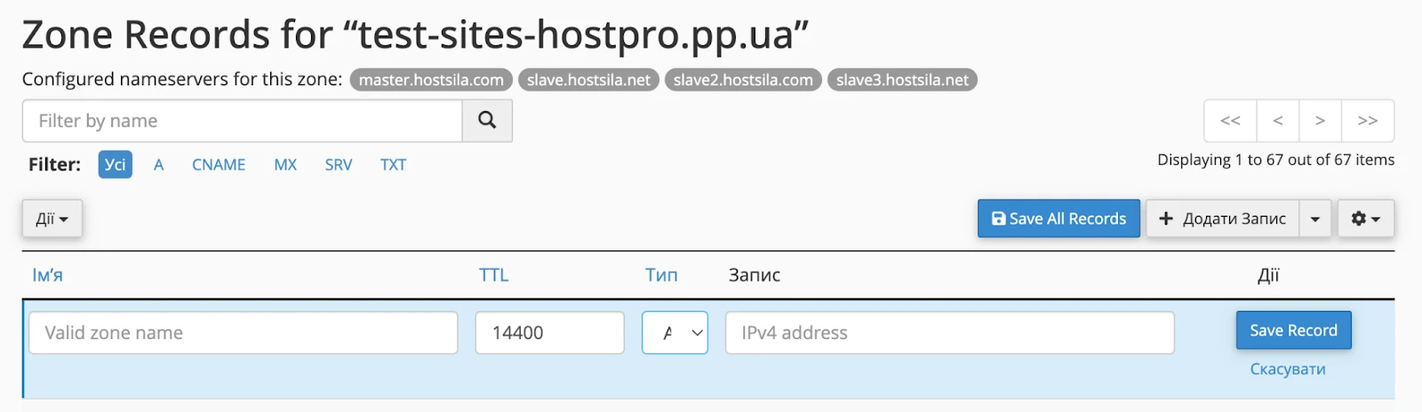 Приклад полів, які потрібно заповнити в записі DNS